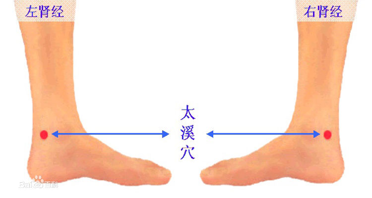 太虛穴道位置圖_太溪穴的神奇作用位位置圖