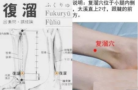 復溜的準確位置圖和作用位位置圖