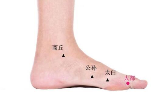 大都的準(zhǔn)確位置圖及功效視頻位位置圖 大都的準(zhǔn)確位置圖及功效視頻位位置圖