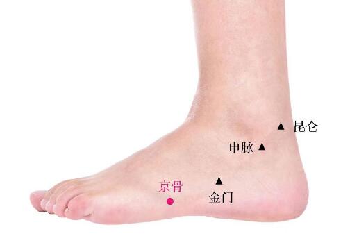 京骨的準(zhǔn)確位置圖及功效視頻位位置圖 京骨的準(zhǔn)確位置圖及功效視頻位位置圖