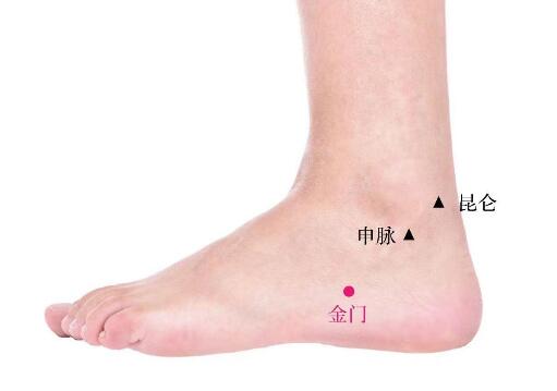 金門的準(zhǔn)確位置圖及功效視頻位位置圖