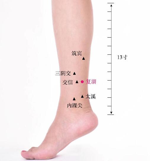 復溜的準確位置圖及視頻功效位位置圖 復溜的準確位置圖及視頻功效位位置圖