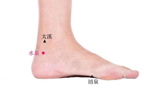水泉的準確位置圖及功效視頻位位置圖 水泉的準確位置圖及功效視頻位位置圖