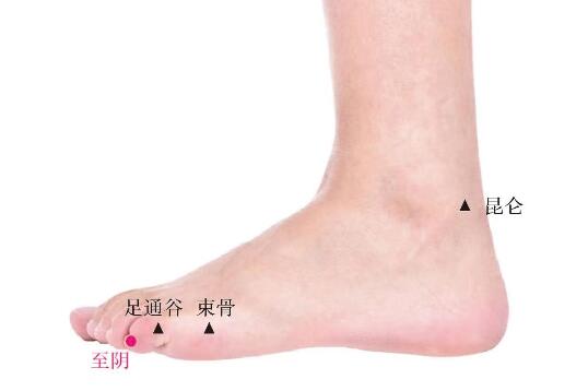 至陰的準確位置圖及功效視頻位位置圖