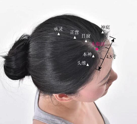 頭臨泣的準(zhǔn)確位置圖及功效視頻位位置圖