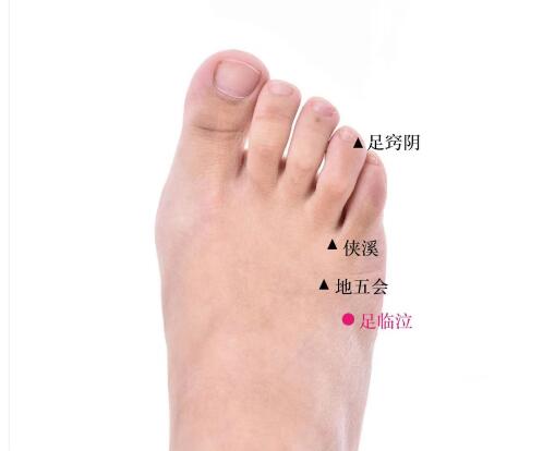 足臨泣的準確位置圖及功效視頻位位置圖 足臨泣的準確位置圖及功效視頻位位置圖