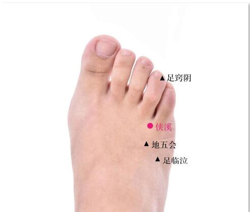 俠溪的準確位置圖及功效視頻位位置圖 俠溪的準確位置圖及功效視頻位位置圖