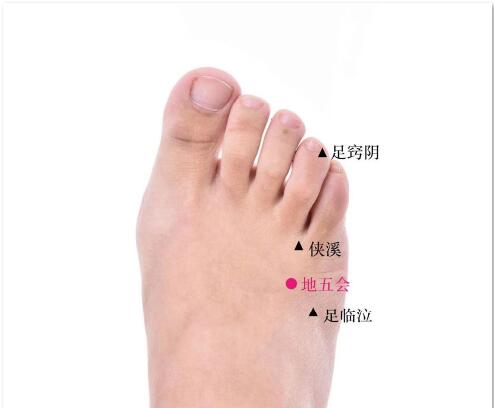 地五會的準確位置圖及功效視頻位位置圖 地五會的準確位置圖及功效視頻位位置圖