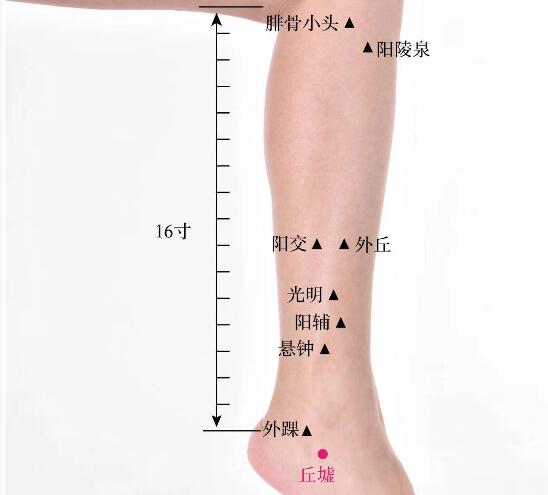 丘噓的準(zhǔn)確位置圖及功效視頻位位置圖
