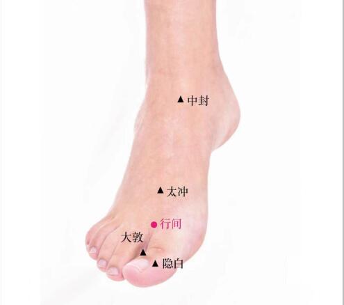 行間的準確位置圖及功效視頻位位置圖 行間的準確位置圖及功效視頻位位置圖
