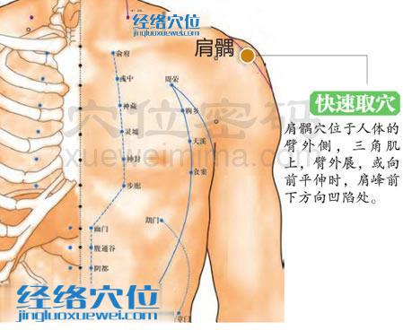肩髃穴的準確位置圖
