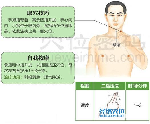 圖解扶突穴的準(zhǔn)確位置圖