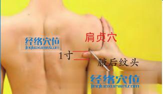 肩貞穴的準確位置圖