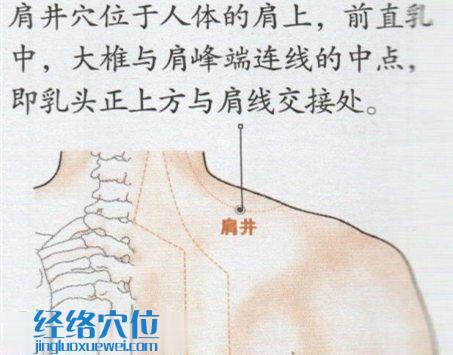 肩井穴的位置圖