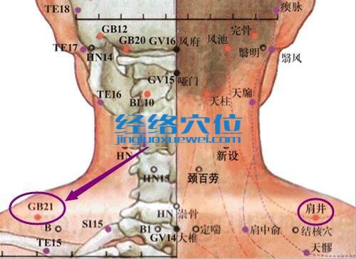 肩井穴的準確位置圖