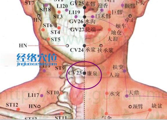 廉泉穴的準(zhǔn)確位置圖