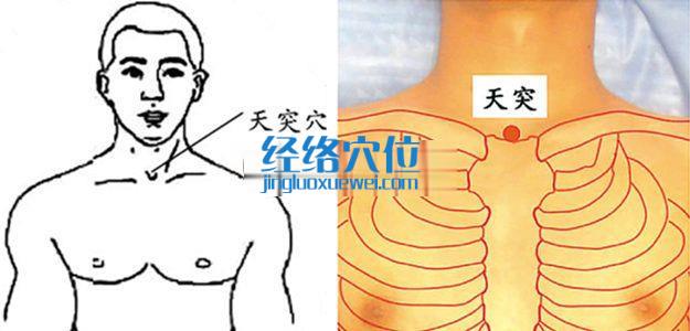 天突穴的準確位置圖