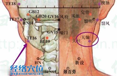 天牖穴的準確位置圖