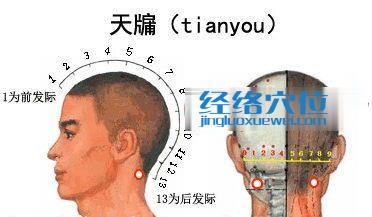 天牖穴的位置圖片