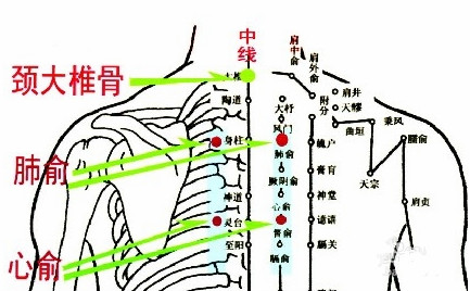 肺俞穴的準(zhǔn)確位置圖位位置圖 肺俞穴的準(zhǔn)確位置圖位位置圖