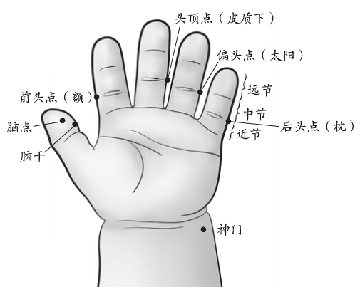 七腦穴