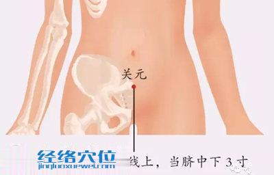 關元穴的位置圖