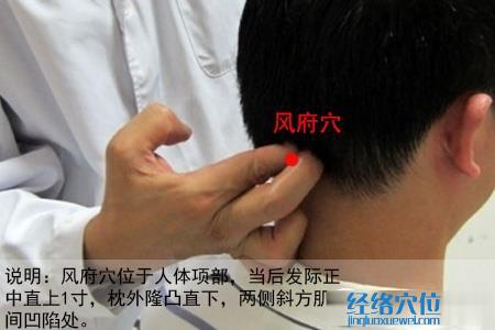 風府穴位位置圖