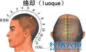 絡卻穴的準確位置圖