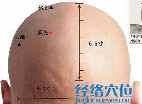 承光穴的準確位置圖