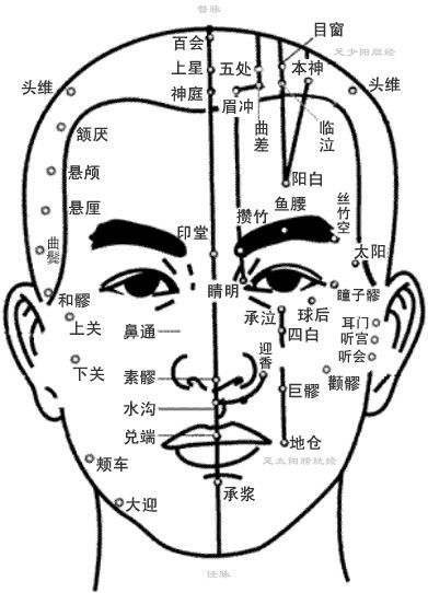 面部穴位圖