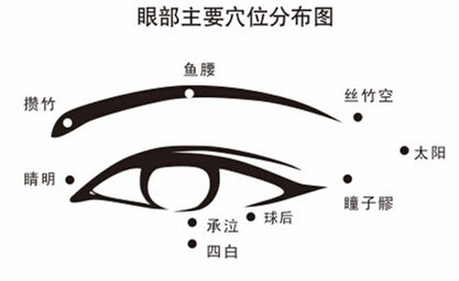 球后穴位圖
