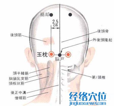 玉枕穴的準確位置圖