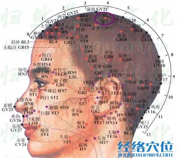 通天穴的準確位置圖