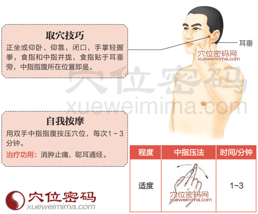 上牙齒疼痛:下關(guān)穴的位置圖