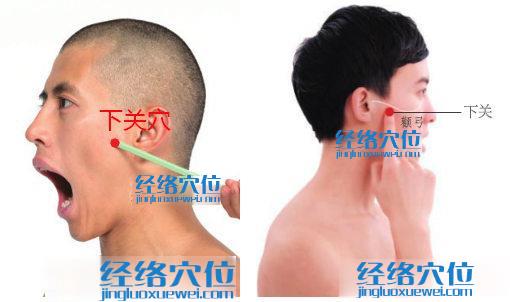 下關(guān)穴位位置圖 下關(guān)穴位位置圖