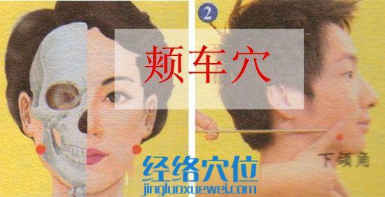 圖解頰車穴的準確位置圖