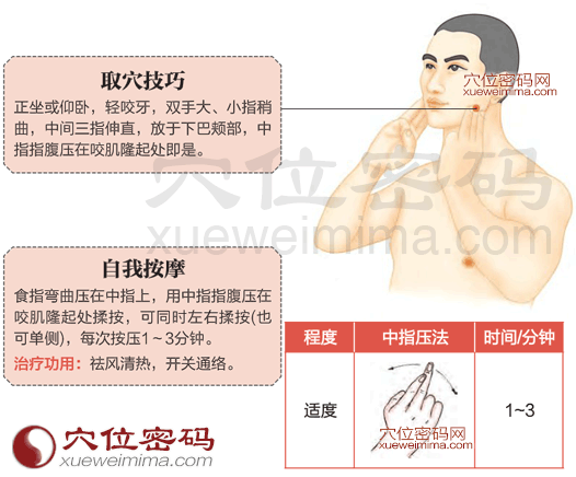 頰車穴的準確位置