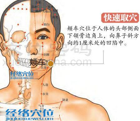 頰車穴的準確位置圖