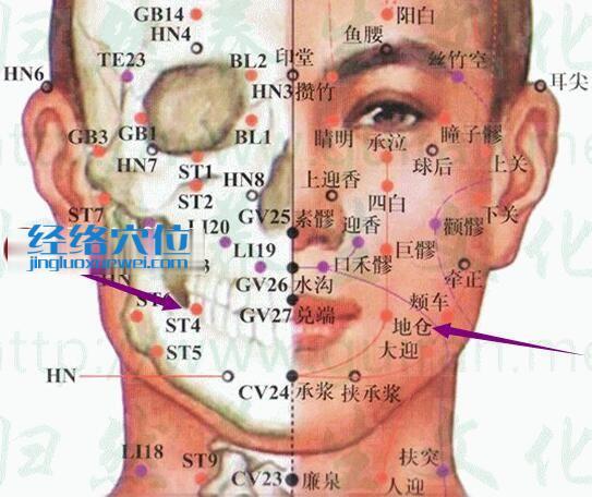地倉穴的準確置圖