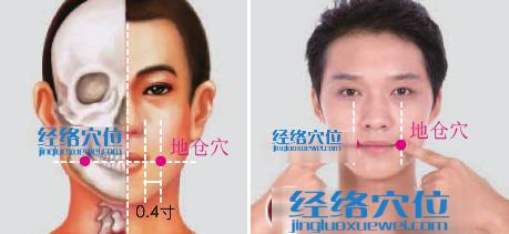 地倉穴的準確位置圖