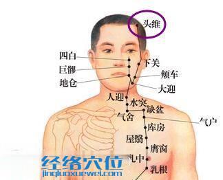 頭維穴位位置圖