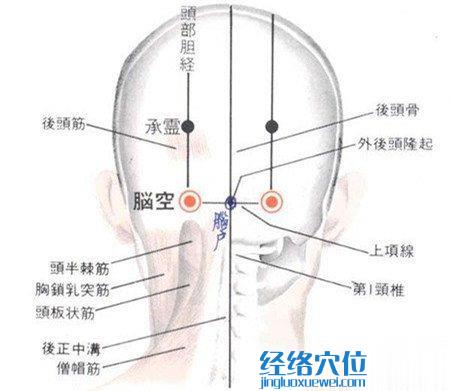 腦空穴的位置解剖分析圖