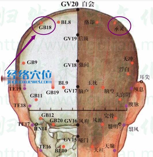承靈穴的準確位置圖