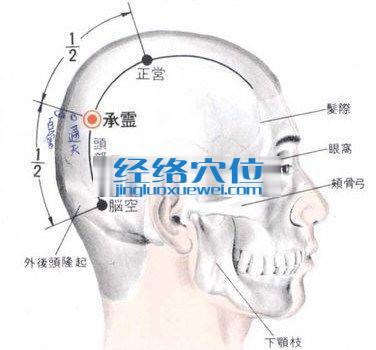 承靈穴的位置解剖分析圖