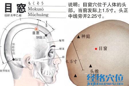 目窗穴的位置解剖分析圖