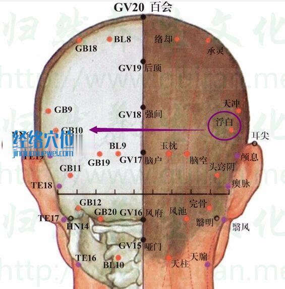 浮白穴的準確位置圖