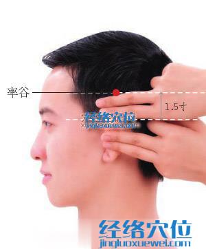 率谷穴位位置圖 率谷穴位位置圖
