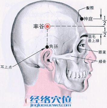 率谷穴的位置解剖分析圖