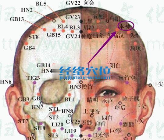 本神穴的準確位置圖
