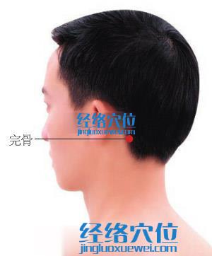 完骨穴位位置圖 完骨穴位位置圖